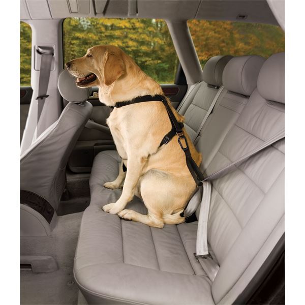 Harnais de sécurité pour chien voiture et marche Tru-Fit Smart KURGO taille M