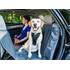 Harnais de sécurité pour chien voiture et marche Tru-Fit Smart KURGO taille M