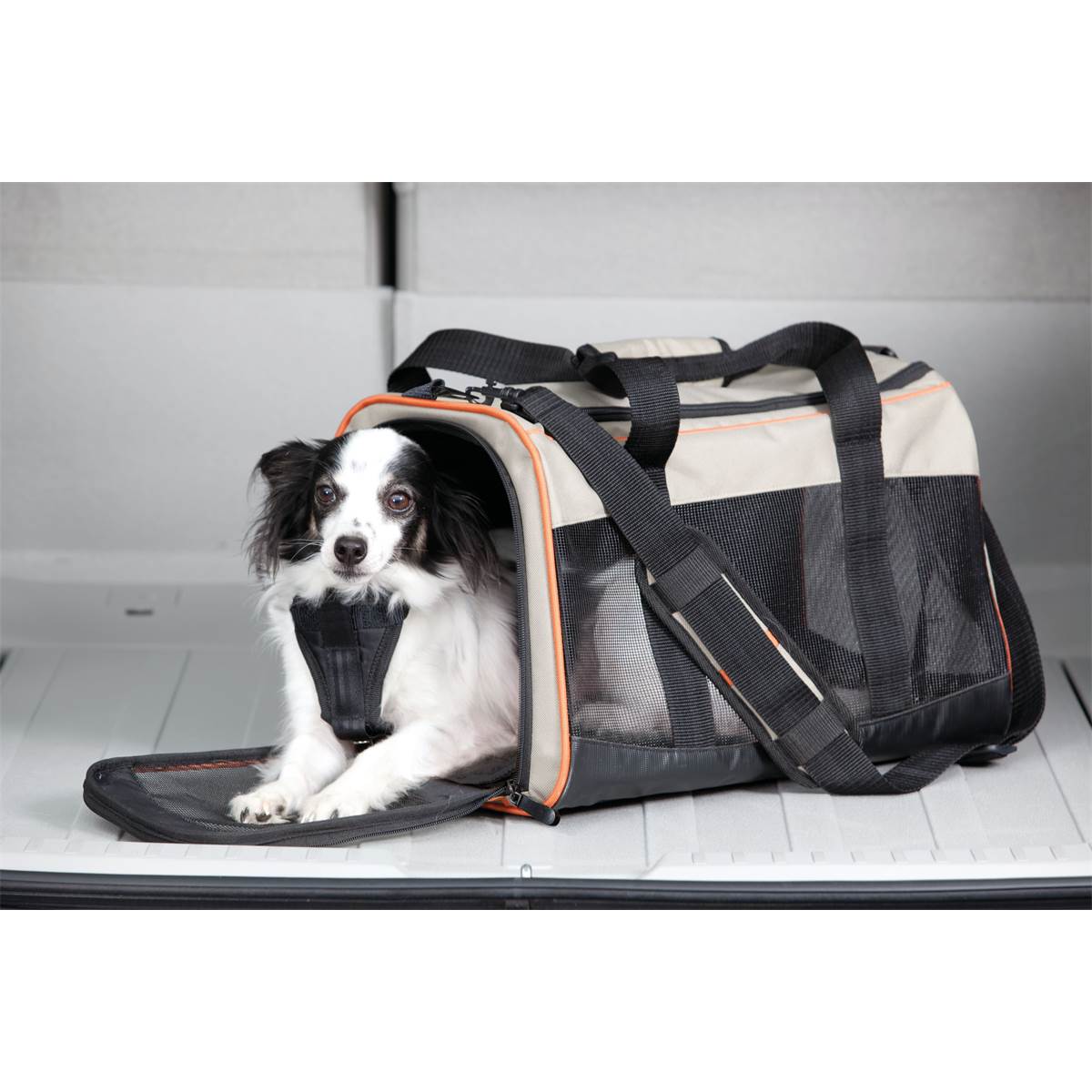 Sac Multi-transports Pour Chien Kurgo