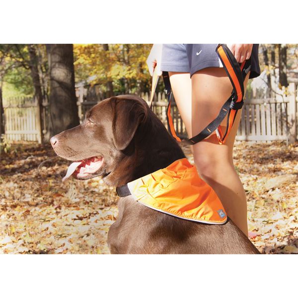 Bandana réfléchissant sécuritaire pour chien taille S-M KURGO