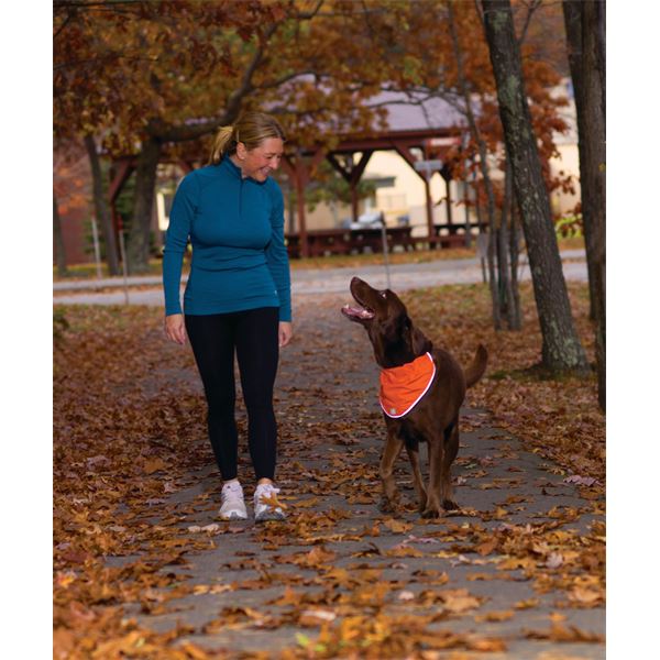 Bandana réfléchissant sécuritaire pour chien taille S-M KURGO