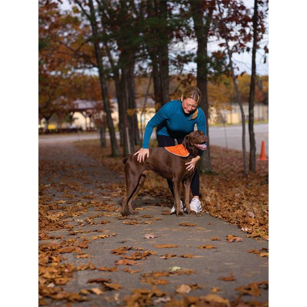 Bandana réfléchissant sécuritaire pour chien taille S-M KURGO