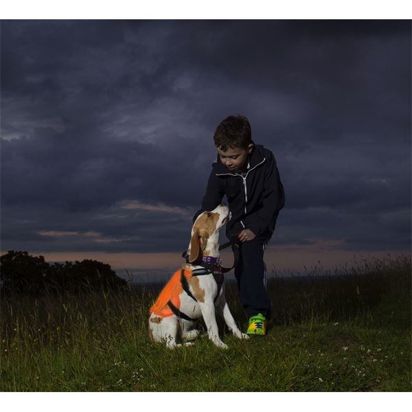 Veste réfléchissante sécuritaire pour chien taille XS KURGO