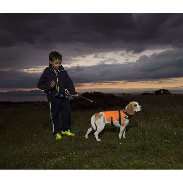 Veste réfléchissante sécuritaire pour chien taille S KURGO