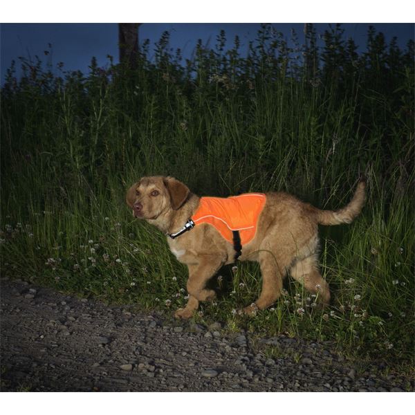 Veste réfléchissante sécuritaire pour chien taille S KURGO