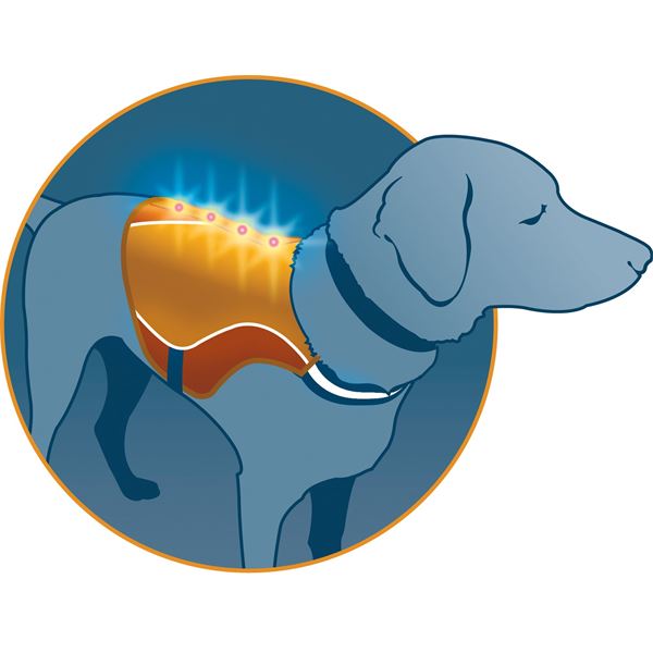 Veste réfléchissante sécuritaire pour chien taille M KURGO