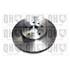 1 disque de frein avant Quinton Hazell BDC5783