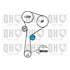1 kit de distribution + 1 pompe à eau Quinton Hazell QBPK8910