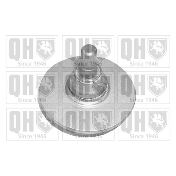 1 rotule de suspension Quinton Hazell QSJ1875S