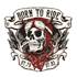 Adhésif carrosserie BIKER CRANE TATOO TRANSFERABLE