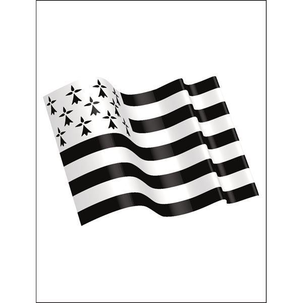 DECOR RESINE DRAPEAU BRETON