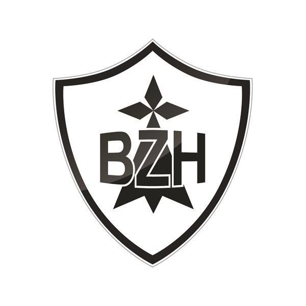 DECOR RESINE BZH