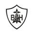 DECOR RESINE BZH