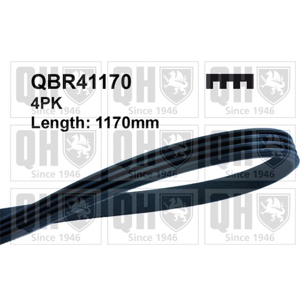 1 courroie d'entrainement Quinton Hazell QBR41170
