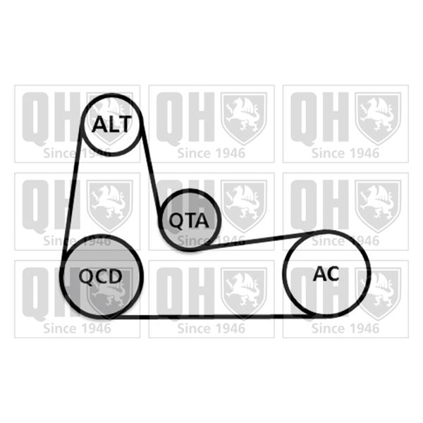1 kit d'entrainement Quinton Hazell QDK89