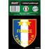 ADHESIF FOOT CHAMPIONS DU MONDE 2018 BLASON