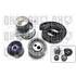 1 kit de distribution + 1 pompe à eau Quinton Hazell QBPK3210