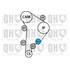 1 kit de distribution + 1 pompe à eau Quinton Hazell QBPK4381
