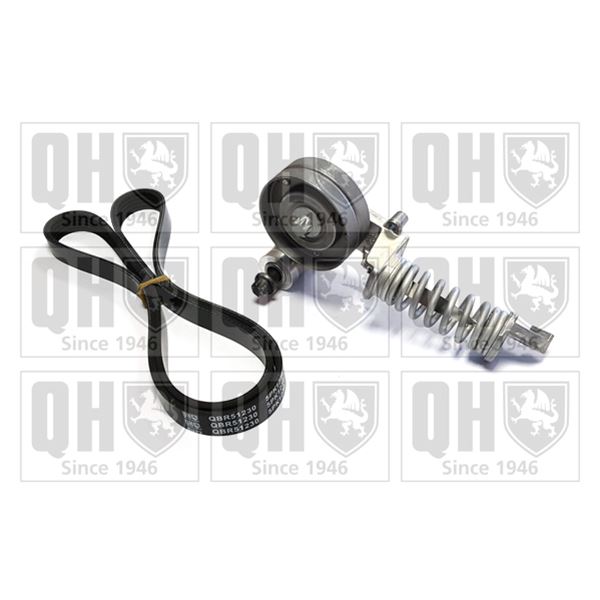 1 kit d'entrainement Quinton Hazell QDK118