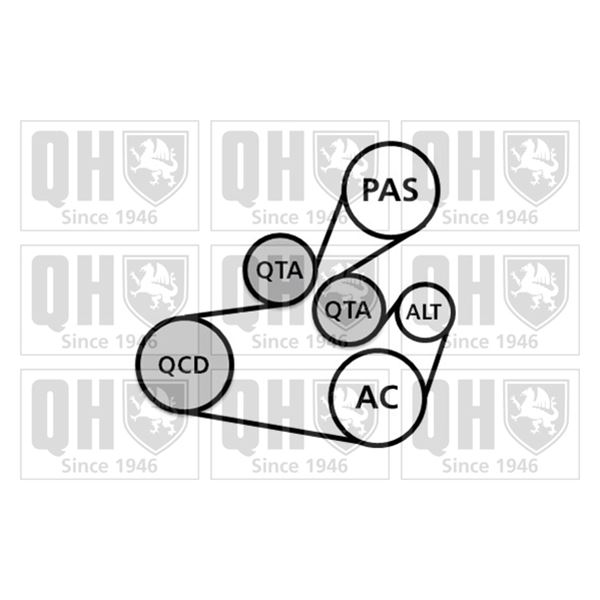 1 kit d'entrainement Quiton Hazell QDK112