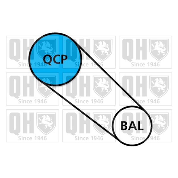 1 kit de distribution + 1 pompe à eau Quinton Hazell QBPK9169