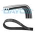 Courroie d'Accessoire DAYCO 3PK576EE