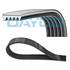 Courroie d'Accessoire DAYCO 5PK862