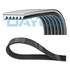 Courroie d'Accessoire DAYCO 6PK906