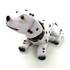 Chien pendulaire Dalmatien