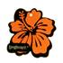 Désodorisant Longboard Fleur senteur vanille
