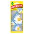 Désodorisant voiture carte parfumée Arbre Magique Daisy Chain