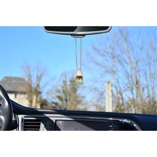 Désodorisant voiture à base d'huiles essentielles senteur Tonic Air Spa