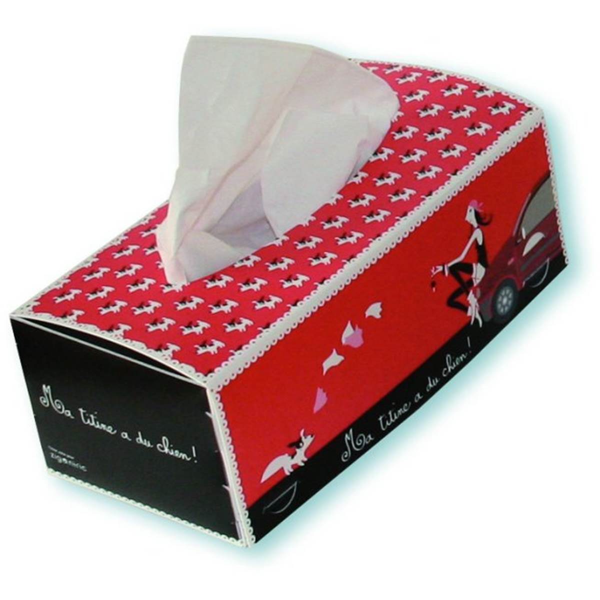 Boîte À Mouchoirs Voiture Femme En PolyPro Zigoniric