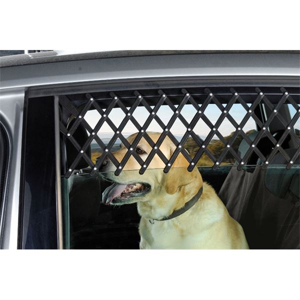 Pare chien grille fenêtre voiture