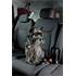 Attache ceinture pour animaux