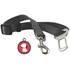 Ceinture de sécurité pour chien Zigoniric