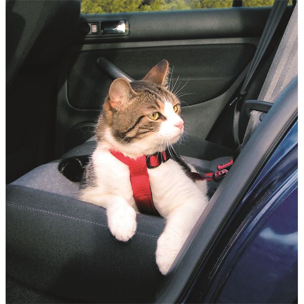 Harnais de sécurité voiture pour chat réf. 1294 Trixie