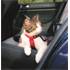 Harnais de sécurité voiture pour chat réf. 1294 Trixie