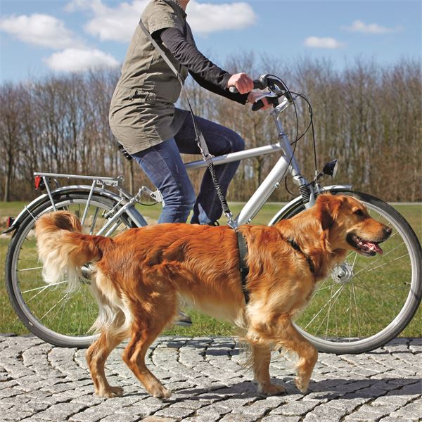 Laisse chien pour vélo ou jogging réf. 1282 Trixie