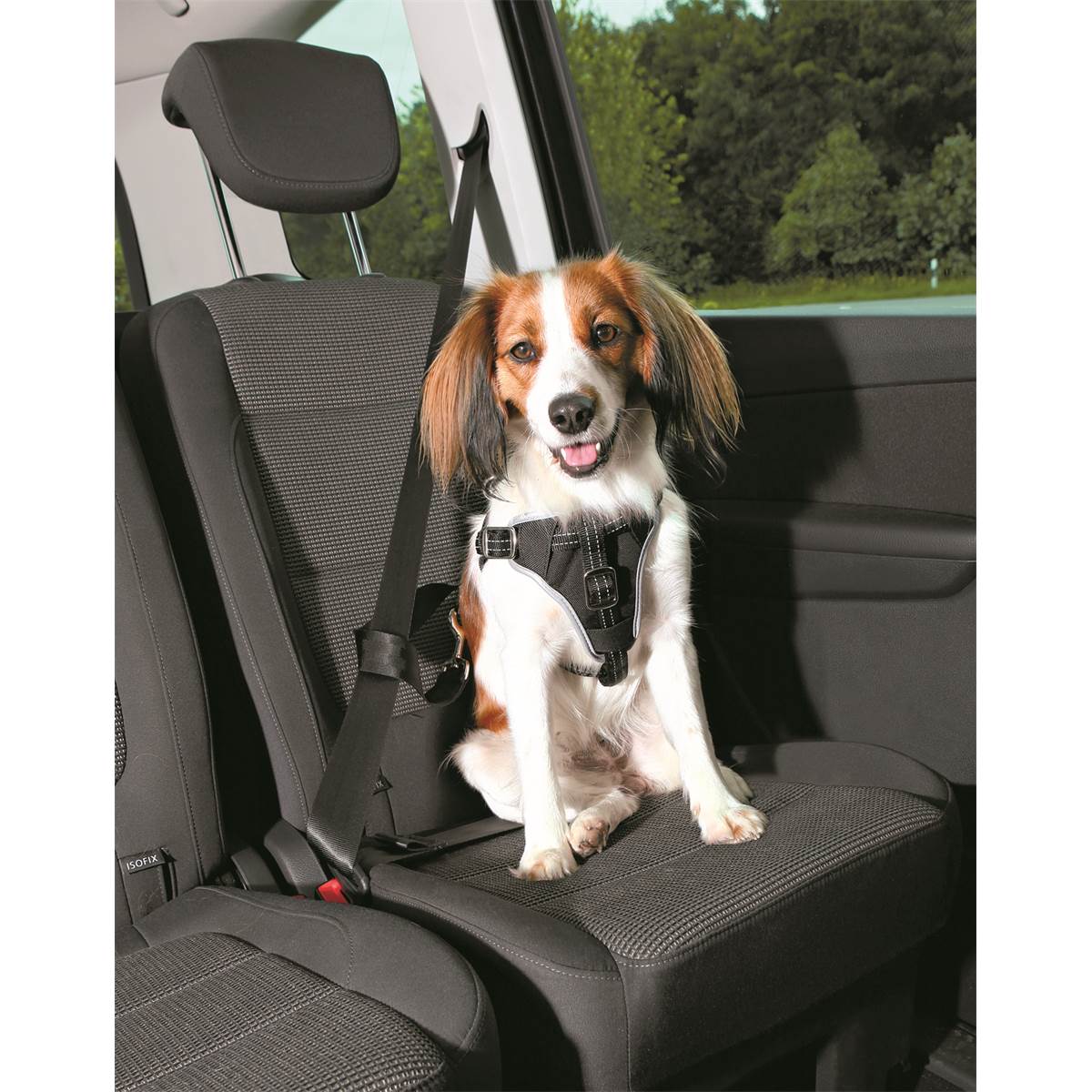 Pack Harnais Et Laisse Courte De Sécurité Voiture Chien Taille M Réf. 12856 Trixie