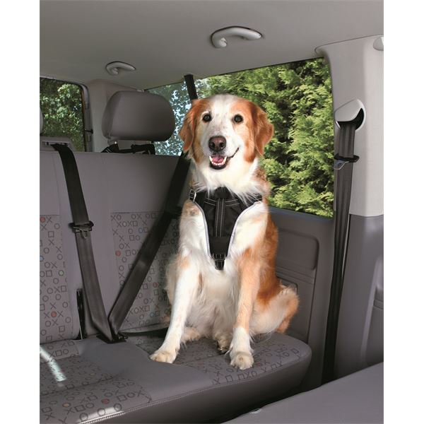 Pack harnais et laisse courte de sécurité voiture chien taille M réf. 12856 Trixie
