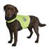 Gilet de sécurité pour chien réf. 30084 taille L-XL Trixie