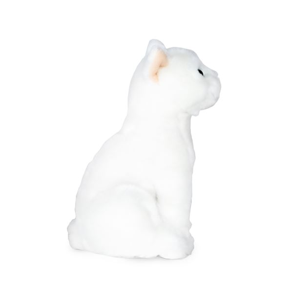PELUCHE CHAT FEU VERT