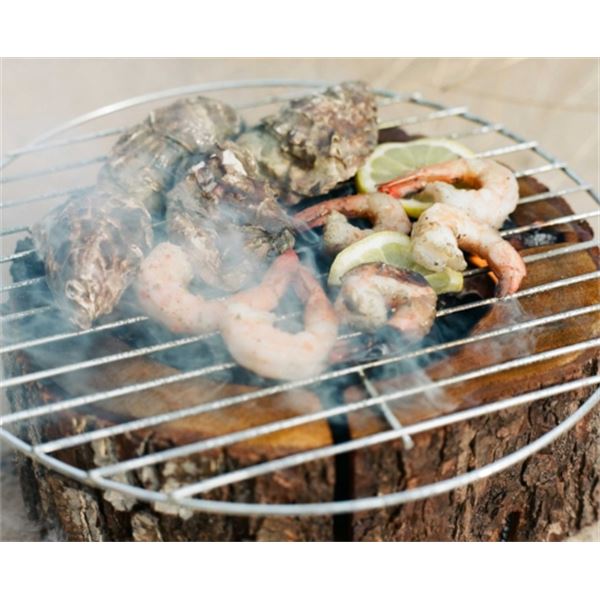 Barbecue EcoGrill 100% naturel