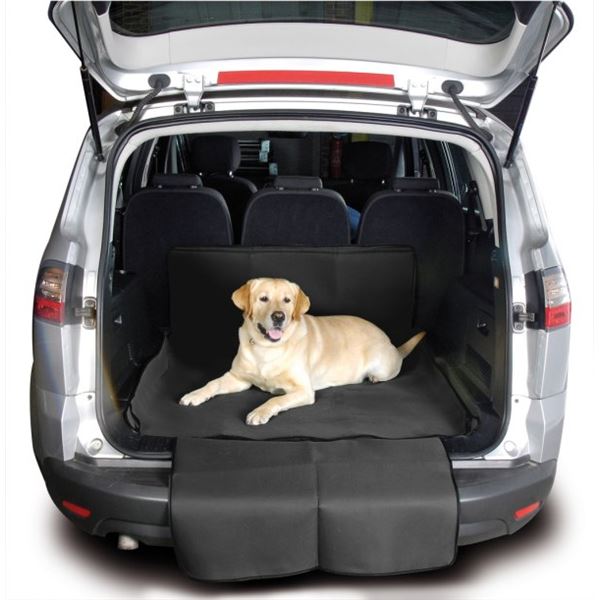 Protection de coffre DBS