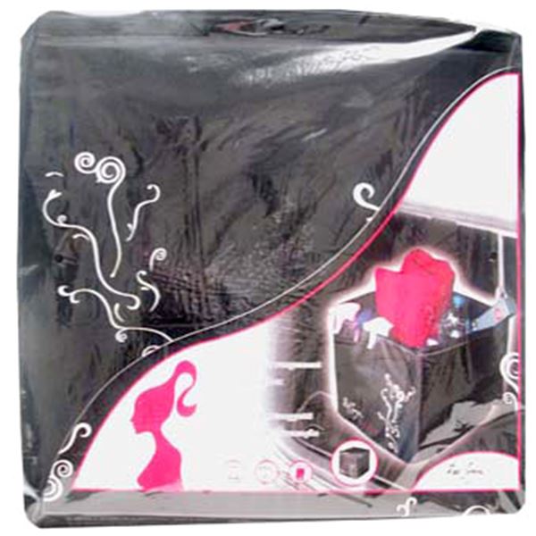 Boite range coffre feminine
