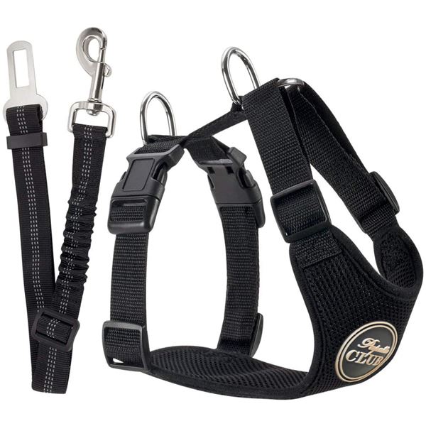 Harnais et Laisse ceinture de sécurité Papatte Club