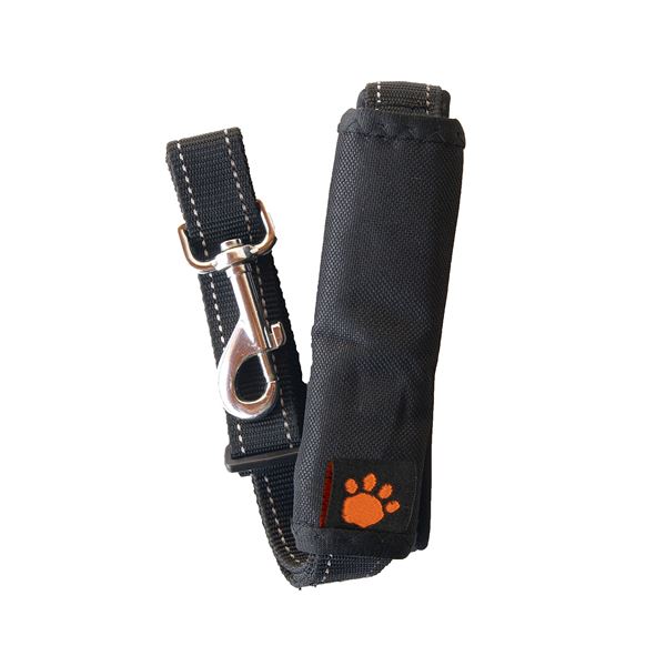 Laisse 2 en 1 :  promenade et ceinture de sécurité SPA