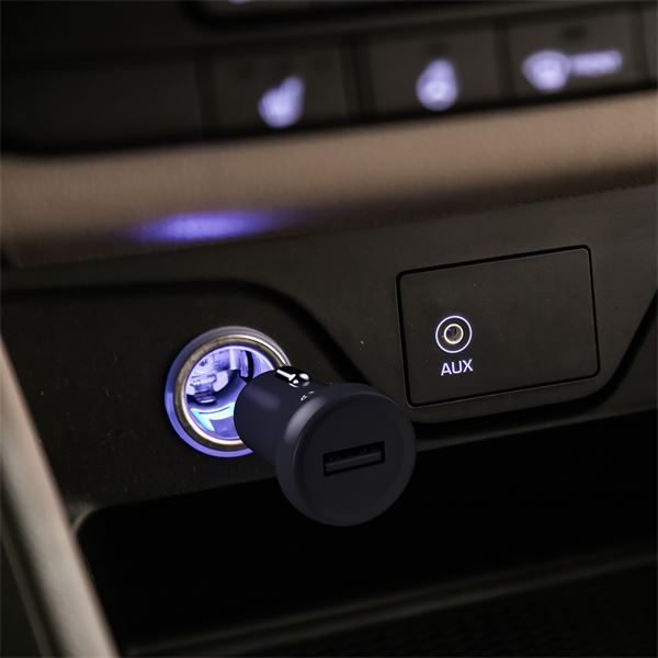 Chargeur allume-cigare et câble 2 en 1 micro USB / USB-C TNB