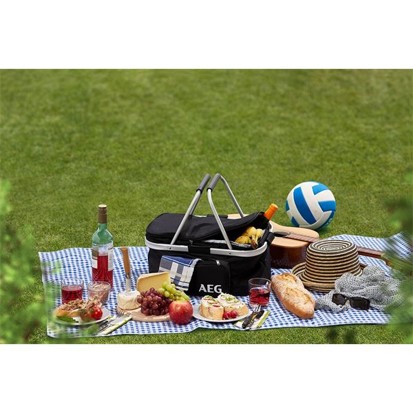 GLACIERE PANIER 25L 12V AEG
